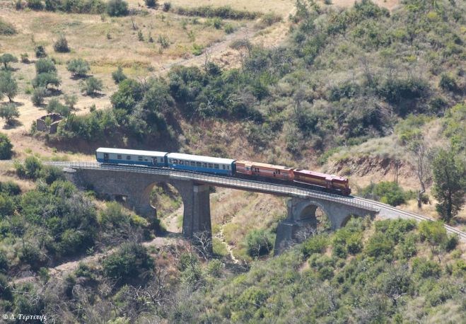 Στο εντυπωσιακό δρυόδασος Μεγαλόπολης εξορμά ο ΣΑΟΟ