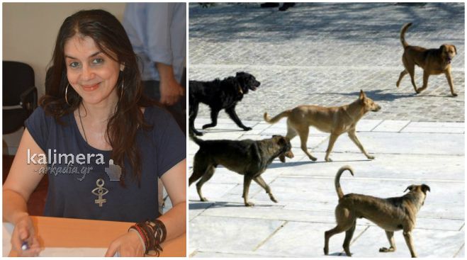 Να γίνει αγώνας δρόμου και τα έσοδα να διατεθούν για τα αδέσποτα προτείνει η Γιαννούλη!