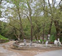 &Pi;&iota;&kappa; &nu;&iota;&kappa; &sigma;&tau;&eta;&nu;
&Kappa;&epsilon;&rho;&alpha;&sigma;&iota;ά!