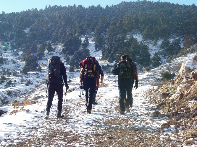 Εξόρμηση στο Αρτεμήσιο την Κυριακή από τον ΣΑΟΟ