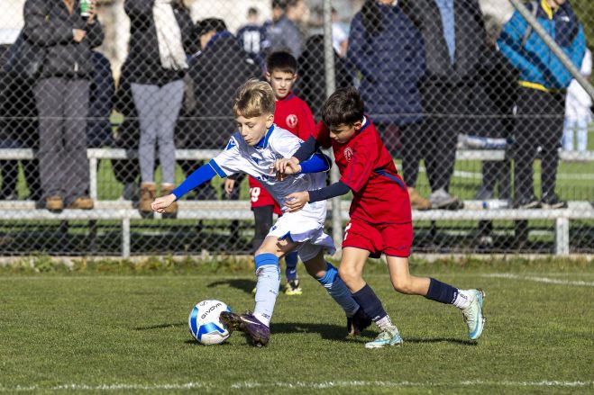 &Alpha;&sigma;&tau;έ&rho;&alpha;&sigmaf; &Tau;&rho;ί&pi;&omicron;&lambda;&eta;&sigmaf; AKTOR | &Pi;&rho;&omega;&tau;&omicron;&chi;&rho;&omicron;&nu;&iota;ά&tau;&iota;&kappa;&omicron; &tau;&omicron;&upsilon;&rho;&nu;&omicron;&upsilon;ά &Alpha;&kappa;&alpha;&delta;&eta;&mu;&iota;ώ&nu;: &Delta;&rho;ά&sigma;&eta;, &chi;&alpha;&mu;ό&gamma;&epsilon;&lambda;&alpha; &kappa;&alpha;&iota; &pi;&omicron;&lambda;&lambda;ά &gamma;&kappa;&omicron;&lambda; (&epsilon;&iota;&kappa;ό&nu;&epsilon;&sigmaf;)