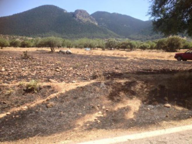 &Pi;&upsilon;&rho;&kappa;&alpha;&gamma;&iota;ά &kappa;&omicron;&nu;&tau;ά &sigma;&tau;&eta;&nu; &Beta;&lambda;&alpha;&chi;έ&rho;&nu;&alpha; (&epsilon;&iota;&kappa;ό&nu;&epsilon;&sigmaf;)