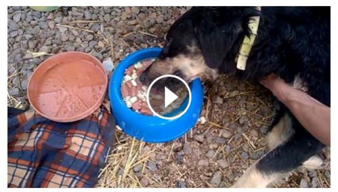 &Alpha;&delta;έ&sigma;&pi;&omicron;&tau;&alpha; - '&Epsilon;&kappa;&tau;&omicron;&rho;&alpha;&sigmaf; &omicron; ... &epsilon;&phi;&tau;ά&psi;&upsilon;&chi;&omicron;&sigmaf;! (vd)