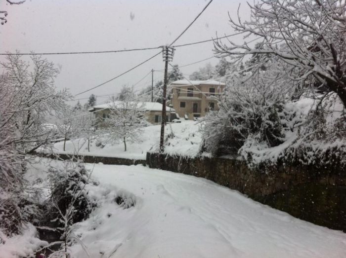 &Delta;&epsilon;&nu; &sigma;&tau;&alpha;&mu;&alpha;&tau;ά &nu;&alpha; &chi;&iota;&omicron;&nu;ί&zeta;&epsilon;&iota; &sigma;&tau;&eta;&nu; &Alpha;&lambda;&omega;&nu;ί&sigma;&tau;&alpha;&iota;&nu;&alpha;! (&epsilon;&iota;&kappa;ό&nu;&epsilon;&sigmaf;)