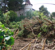 &Delta;&eta;&mu;ό&sigma;&iota;&alpha; &pi;&alpha;&rho;έ&mu;&beta;&alpha;&sigma;&eta; &tau;&omicron;&upsilon; &Sigma;&upsilon;&lambda;&lambda;ό&gamma;&omicron;&upsilon; &Mu;&eta;&chi;&alpha;&nu;&iota;&kappa;ώ&nu; &gamma;&iota;&alpha; &tau;&eta; &Beta;ί&lambda;&alpha; &Tau;&omicron;&upsilon;&rho;&kappa;&omicron;&beta;&alpha;&sigma;ί&lambda;&eta;