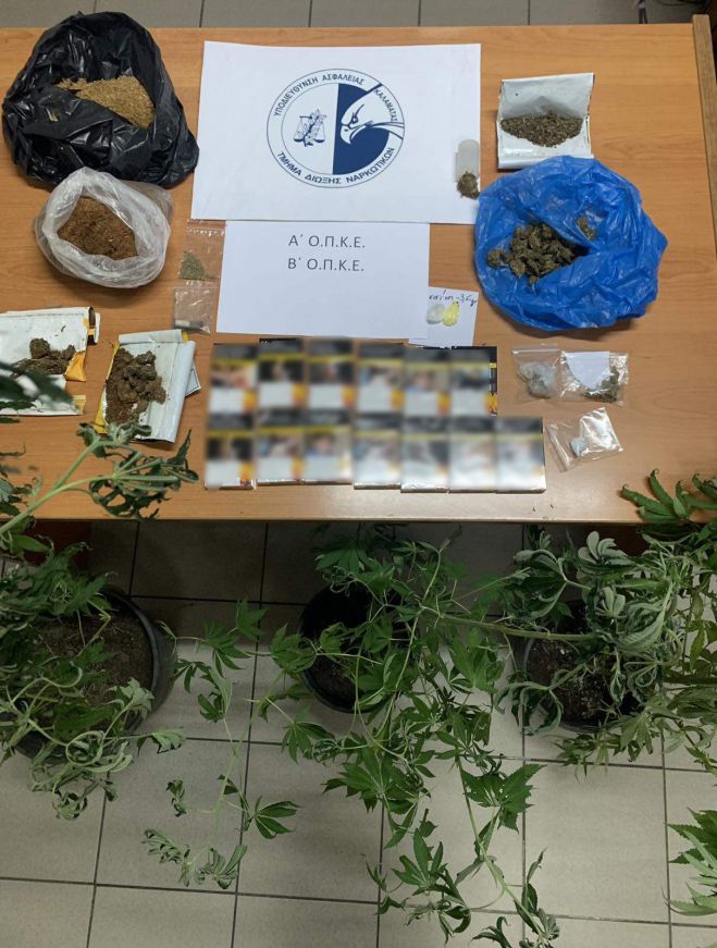 Ναρκωτικά σε δασάκι με κατασκηνωτές στην Μεσσηνία - 11 συλλήψεις!