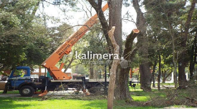 &Kappa;&alpha;&theta;&alpha;&rho;ί&sigma;&tau;&eta;&kappa;&epsilon; &tau;&omicron; ό&mu;&omicron;&phi;&omicron; &pi;ά&rho;&kappa;&omicron; &tau;&eta;&sigmaf; &Pi;&lambda;&alpha;&tau;&epsilon;ί&alpha;&sigmaf; Ά&rho;&epsilon;&omega;&sigmaf;! (&epsilon;&iota;&kappa;ό&nu;&epsilon;&sigmaf;)