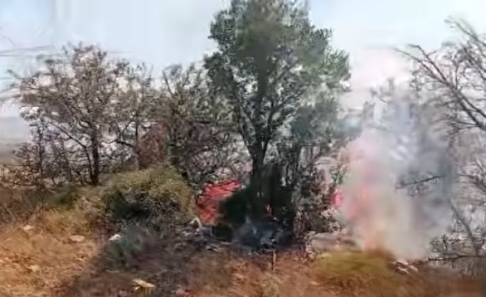 Έ&sigma;&beta;&eta;&sigma;&epsilon; &eta; &phi;&omega;&tau;&iota;ά &sigma;&tau;&eta; &Beta;&alpha;&sigma;&kappa;ί&nu;&alpha; &ndash; &Kappa;ά&eta;&kappa;&alpha;&nu; &pi;&epsilon;&rho;ί&pi;&omicron;&upsilon; 5 &sigma;&tau;&rho;έ&mu;&mu;&alpha;&tau;&alpha; &chi;&alpha;&mu;&eta;&lambda;ή&sigmaf; &beta;&lambda;ά&sigma;&tau;&eta;&sigma;&eta;&sigmaf; (vd)
