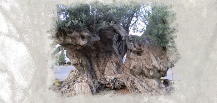 &Eta;&mu;&epsilon;&rho;ί&delta;&alpha; &mu;&epsilon; &theta;έ&mu;&alpha; &tau;&eta;&nu; &Epsilon;&lambda;&iota;ά &sigma;&tau;&alpha; &kappa;ά&tau;&omega; &Delta;&omicron;&lambda;&iota;&alpha;&nu;ά
