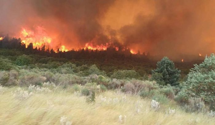 Εκτός ελέγχου η φωτιά στον Φενεό Κορινθίας: Δυο πυροσβέστες στο νοσοκομείο – Εκκενώθηκαν οικισμοί