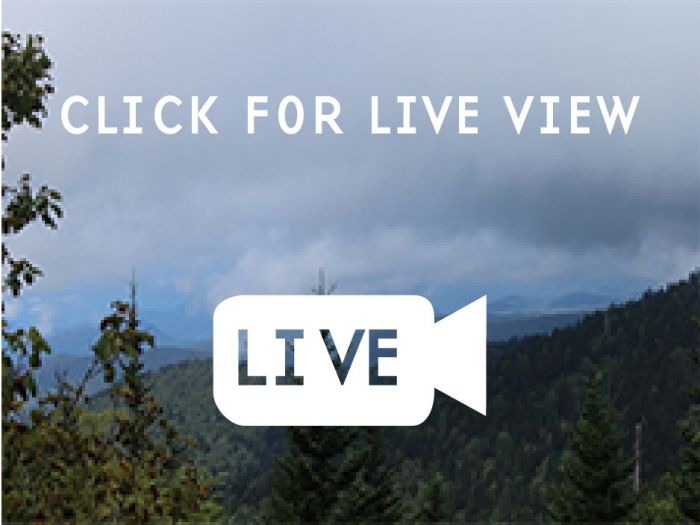 &Alpha;&rho;&kappa;&alpha;&delta;ί&alpha; - &Kappa;&alpha;&iota;&rho;ό&sigmaf; | Live &epsilon;&iota;&kappa;ό&nu;&alpha; &alpha;&pi;ό web &kappa;ά&mu;&epsilon;&rho;&epsilon;&sigmaf;!