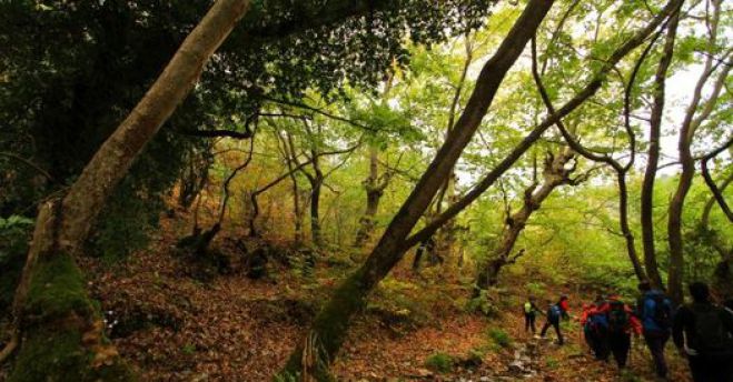 Πορεία στο Ανατολικό Μαίναλο για τον ΣΑΟΟ - Αναβλήθηκε η κοπή πίτας