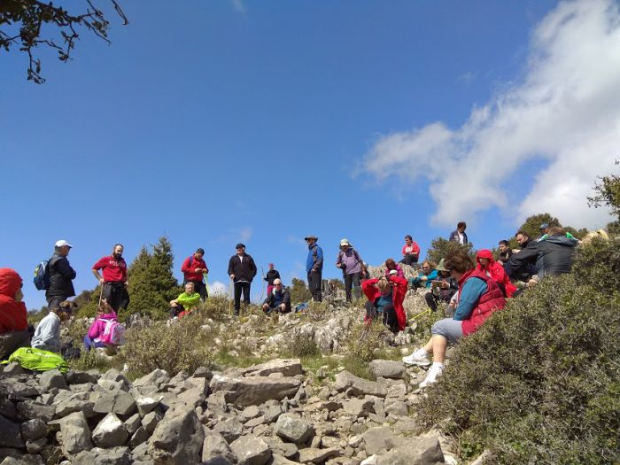 &Tau;&rho;ί&kappa;&omicron;&rho;&phi;&alpha; | &Tau;&omicron; &iota;&sigma;&tau;&omicron;&rho;&iota;&kappa;ό &mu;&omicron;&nu;&omicron;&pi;ά&tau;&iota; &pi;&epsilon;&rho;&pi;ά&tau;&eta;&sigma;&alpha;&nu; &tau;&alpha; &mu;έ&lambda;&eta; &tau;&omicron;&upsilon; &Sigma;&Alpha;&Omicron;&Omicron;