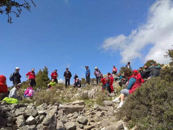 &Tau;&rho;ί&kappa;&omicron;&rho;&phi;&alpha; | &Tau;&omicron; &iota;&sigma;&tau;&omicron;&rho;&iota;&kappa;ό &mu;&omicron;&nu;&omicron;&pi;ά&tau;&iota; &pi;&epsilon;&rho;&pi;ά&tau;&eta;&sigma;&alpha;&nu; &tau;&alpha; &mu;έ&lambda;&eta; &tau;&omicron;&upsilon; &Sigma;&Alpha;&Omicron;&Omicron;