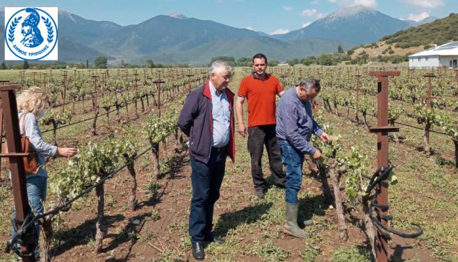 &Zeta;&eta;&mu;&iota;έ&sigmaf; &alpha;&pi;ό &tau;&omicron; &chi;&alpha;&lambda;ά&zeta;&iota; &sigma;&tau;&eta;&nu; &Mu;&alpha;&nu;&tau;&iota;&nu;&epsilon;ί&alpha; | Ά&mu;&epsilon;&sigma;&eta; &kappa;&iota;&nu;&eta;&tau;&omicron;&pi;&omicron;ί&eta;&sigma;&eta; &alpha;&pi;ό &tau;&omicron;&nu; &Delta;ή&mu;&omicron; &Tau;&rho;ί&pi;&omicron;&lambda;&eta;&sigmaf; - Έ&rho;&chi;&epsilon;&tau;&alpha;&iota; &omicron; &Pi;&rho;ό&epsilon;&delta;&rho;&omicron;&sigmaf; &tau;&omicron;&upsilon; &Epsilon;&Lambda;&Gamma;&Alpha; (&epsilon;&iota;&kappa;ό&nu;&epsilon;&sigmaf;)