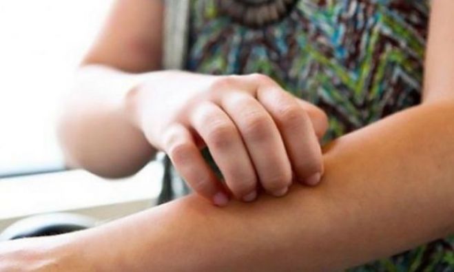 Έντονο πρόβλημα με τα κουνούπια στην Καλαμάτα