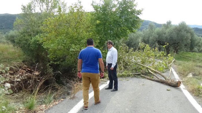 &Mu;&epsilon;&gamma;ά&lambda;&epsilon;&sigmaf; &zeta;&eta;&mu;&iota;έ&sigmaf; ά&phi;&eta;&sigma;&epsilon; &omicron; &kappa;&upsilon;&kappa;&lambda;ώ&nu;&alpha;&sigmaf; "&Zeta;&omicron;&rho;&mu;&pi;ά&sigmaf;" &sigma;&tau;&eta; &Delta;&upsilon;&tau;&iota;&kappa;ή &Phi;&alpha;&lambda;&alpha;&iota;&sigma;ί&alpha; (&epsilon;&iota;&kappa;ό&nu;&epsilon;&sigmaf;)