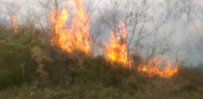 Τα νεότερα από τις δύο φωτιές στην περιοχή της Μεγαλόπολης (εικόνες)