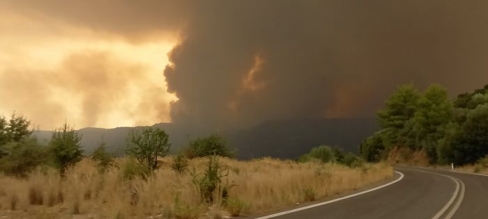 Λύτρας: &quot;Εκκενώνεται και το Τουμπίτσι - Χρειαζόμαστε ενίσχυση στη Γορτυνία - Στείλτε αεροπλάνα&quot; (vd)