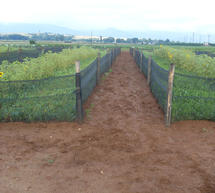 &Sigma;&epsilon;&mu;&iota;&nu;ά&rho;&iota;&omicron; &epsilon;&kappa;&tau;&rho;&omicron;&phi;ή&sigmaf; &sigma;&alpha;&lambda;&iota;&gamma;&kappa;&alpha;&rho;&iota;ώ&nu;, &mu;&epsilon; &epsilon;&lambda;&epsilon;ύ&theta;&epsilon;&rho;&eta; &epsilon;ί&sigma;&omicron;&delta;&omicron;, &sigma;&tau;&eta;&nu; &Tau;&rho;ί&pi;&omicron;&lambda;&eta;