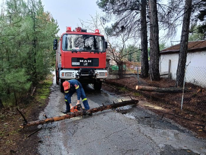 &Iota;&sigma;&chi;&upsilon;&rho;&omicron;ί ά&nu;&epsilon;&mu;&omicron;&iota; έ&rho;&iota;&xi;&alpha;&nu; &delta;έ&nu;&tau;&rho;&omicron; &tau;&eta; &nu;ύ&chi;&tau;&alpha; &sigma;&tau;&eta;&nu; &Tau;&rho;ί&pi;&omicron;&lambda;&eta; (&epsilon;&iota;&kappa;ό&nu;&epsilon;&sigmaf;)