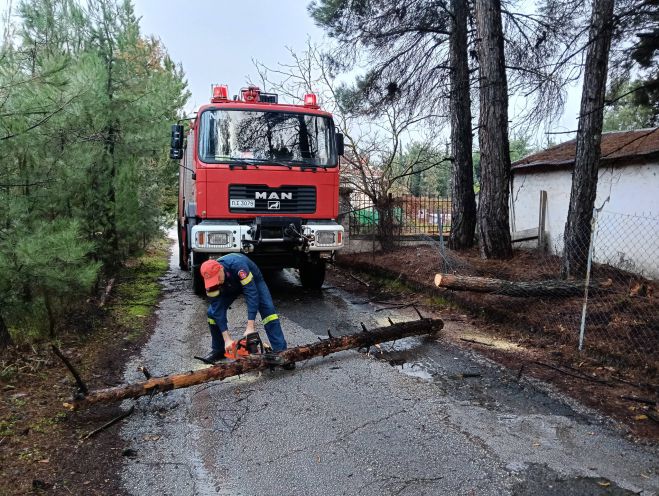 &Iota;&sigma;&chi;&upsilon;&rho;&omicron;ί ά&nu;&epsilon;&mu;&omicron;&iota; έ&rho;&iota;&xi;&alpha;&nu; &delta;έ&nu;&tau;&rho;&omicron; &tau;&eta; &nu;ύ&chi;&tau;&alpha; &sigma;&tau;&eta;&nu; &Tau;&rho;ί&pi;&omicron;&lambda;&eta; (&epsilon;&iota;&kappa;ό&nu;&epsilon;&sigmaf;)