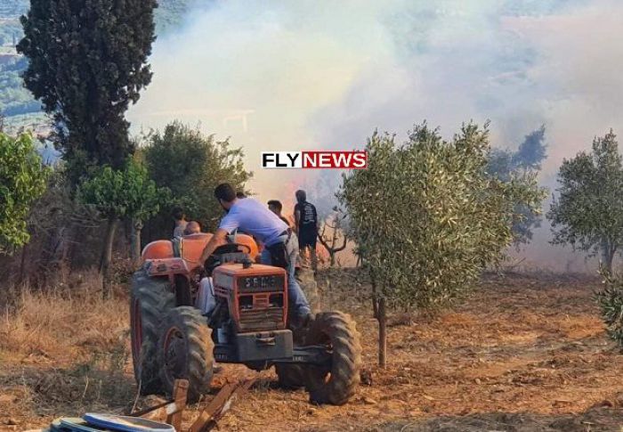 &Phi;&omega;&tau;&iota;ά &xi;έ&sigma;&pi;&alpha;&sigma;&epsilon; &sigma;&tau;&omicron; &Delta;&alpha;&phi;&nu;ί &Lambda;&alpha;&kappa;&omega;&nu;ί&alpha;&sigmaf; (vd)