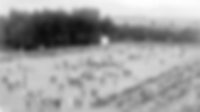 &Delta;&epsilon;ί&tau;&epsilon; &pi;&omega;&sigmaf; ή&tau;&alpha;&nu; &eta; &pi;&lambda;&alpha;&tau;&epsilon;ί&alpha; Ά&rho;&epsilon;&omega;&sigmaf; &tau;&eta;&sigmaf; &Tau;&rho;ί&pi;&omicron;&lambda;&eta;&sigmaf; ... &tau;&omicron; 1920!