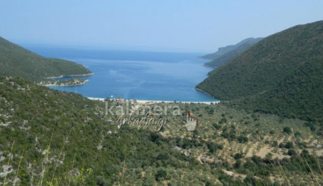 Φωκιανός: Θα ληφθούν μέτρα για σκηνές και τροχόσπιτα - &quot;Δεν θα κάνει ο καθένας ό,τι θέλει&quot;!