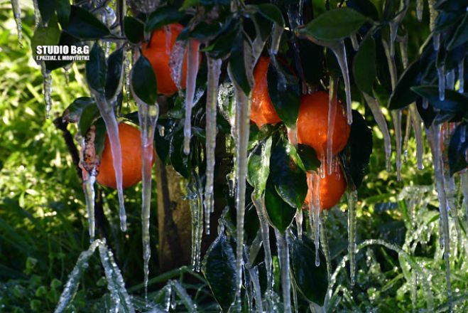 &Alpha;&pi;ί&sigma;&tau;&epsilon;&upsilon;&tau;&epsilon;&sigmaf; &epsilon;&iota;&kappa;ό&nu;&epsilon;&sigmaf; &alpha;&pi;ό &tau;&omicron;&nu; &pi;&alpha;&gamma;&epsilon;&tau;ό &sigma;&tau;&eta;&nu; &Alpha;&rho;&gamma;&omicron;&lambda;ί&delta;&alpha;!