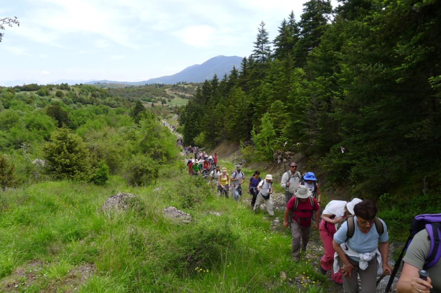 &Tau;&omicron; &alpha;&nu;&alpha;&tau;&omicron;&lambda;&iota;&kappa;ό &Mu;&alpha;ί&nu;&alpha;&lambda;&omicron; &theta;&alpha; &delta;&iota;&alpha;&sigma;&chi;ί&sigma;&epsilon;&iota; &omicron; &Sigma;&Alpha;&Omicron;&Omicron;