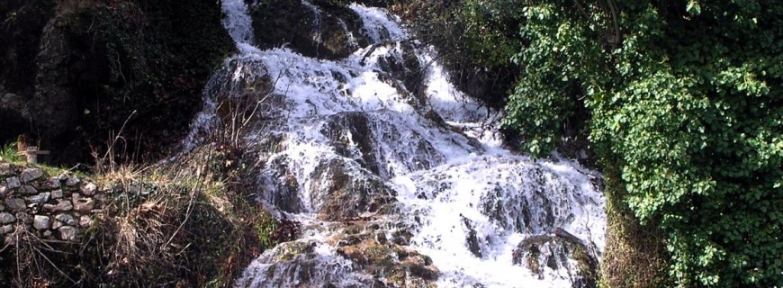 &Tau;&omicron; &phi;&alpha;&rho;ά&gamma;&gamma;&iota; &tau;&omicron;&upsilon; &Tau;ά&nu;&omicron;&upsilon; &sigma;&tau;&eta;&nu; &Kappa;&upsilon;&nu;&omicron;&upsilon;&rho;ί&alpha; &theta;&alpha; &delta;&iota;&alpha;&sigma;&chi;ί&sigma;&epsilon;&iota; &omicron; &Sigma;&Alpha;&Omicron;&Omicron;!