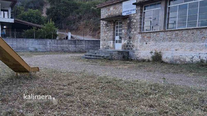 Δήμος Γορτυνίας | Επέμβαση και καθαρισμός στη Νέα Δάφνη μετά το δημοσίευμα για τα ξερά χόρτα (εικόνες)