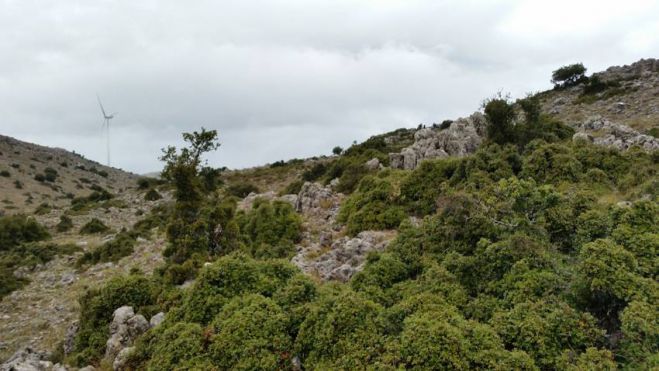 &Sigma;&kappa;&omicron;&upsilon;&pi;ί&delta;&iota;&alpha; &sigma;&tau;&omicron; &laquo;&Mu;&epsilon;&gamma;&alpha;&beta;&omicron;ύ&nu;&iota;&raquo;: &Alpha;&nu;&alpha;&beta;&lambda;ή&theta;&eta;&kappa;&epsilon; &eta; &sigma;&upsilon;&zeta;ή&tau;&eta;&sigma;&eta; &gamma;&iota;&alpha; &tau;&eta;&nu; &pi;&rho;&omicron;&sigma;&phi;&upsilon;&gamma;ή