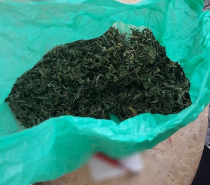 Δενδρύλλια κάνναβης εντοπίστηκαν σε εξωτερικό χώρο σπιτιού στην Κορινθία