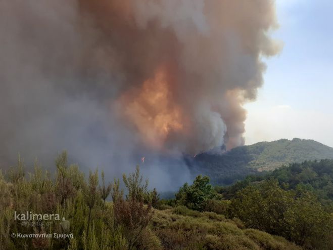 &Tau;&alpha; &mu;έ&tau;&omega;&pi;&alpha; &tau;&eta;&sigmaf; &phi;&omega;&tau;&iota;ά&sigmaf; &sigma;&tau;&alpha; &chi;&omega;&rho;&iota;ά &tau;&eta;&sigmaf; &Mu;&epsilon;&gamma;&alpha;&lambda;ό&pi;&omicron;&lambda;&eta;&sigmaf; - &Omicron;&iota; &tau;&epsilon;&lambda;&epsilon;&upsilon;&tau;&alpha;ί&epsilon;&sigmaf; &epsilon;&xi;&epsilon;&lambda;ί&xi;&epsilon;&iota;&sigmaf;