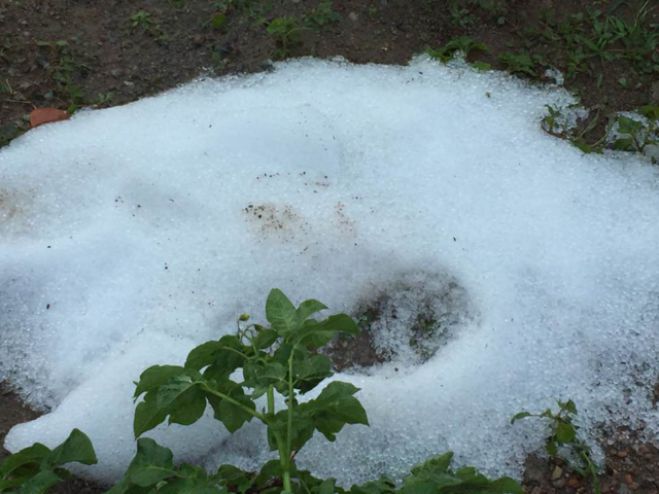 &Chi;&alpha;&lambda;ά&zeta;&iota; &kappa;&alpha;&iota; &kappa;&alpha;&iota; &kappa;&alpha;&tau;&alpha;&iota;&gamma;ί&delta;&epsilon;&sigmaf; &sigma;&tau;&omicron; &Kappa;&alpha;&sigma;&tau;&rho;ί (&epsilon;&iota;&kappa;ό&nu;&epsilon;&sigmaf;)