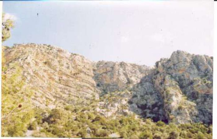 Αναρρίχηση στο Καταφύκι από τον ΕΟΣ Τρίπολης