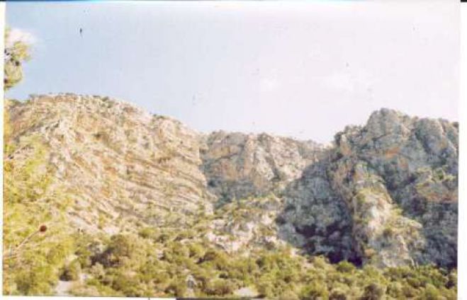 Αναρρίχηση στο Καταφύκι από τον ΕΟΣ Τρίπολης