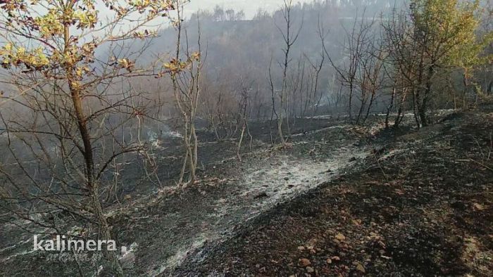 &Upsilon;&pi;ό έ&lambda;&epsilon;&gamma;&chi;&omicron; &tau;&alpha; &mu;έ&tau;&omega;&pi;&alpha; &phi;&omega;&tau;&iota;ά&sigmaf; &sigma;&tau;&eta; &Phi;&alpha;&lambda;&alpha;&iota;&sigma;ί&alpha; - &Sigma;&epsilon; &epsilon;&pi;&iota;&phi;&upsilon;&lambda;&alpha;&kappa;ή &gamma;&iota;&alpha; &alpha;&nu;&alpha;&zeta;&omega;&pi;&upsilon;&rho;ώ&sigma;&epsilon;&iota;&sigmaf;! (vd)