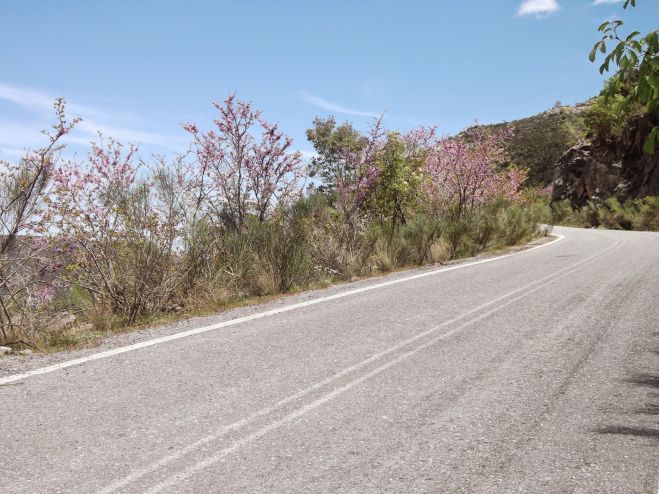 &Omicron;&rho;&iota;&sigma;&tau;&iota;&kappa;ό&sigmaf; &mu;&epsilon;&iota;&omicron;&delta;ό&tau;&eta;&sigmaf; &gamma;&iota;&alpha; &tau;&alpha; έ&rho;&gamma;&alpha; &sigma;&tau;&eta;&nu; &Epsilon;&pi;&alpha;&rho;&chi;&iota;&alpha;&kappa;ή &Omicron;&delta;ό &Lambda;&epsilon;&omega;&nu;&iota;&delta;ί&omicron;&upsilon; - &Kappa;&omicron;&sigma;&mu;ά