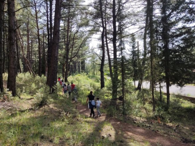 &Pi;&epsilon;&rho;ί&pi;&alpha;&tau;&omicron;&sigmaf; &sigma;&tau;&omicron; ά&lambda;&sigma;&omicron;&sigmaf; &Pi;&alpha;&nu;&alpha;&rho;&kappa;ά&delta;&omega;&nu; &mu;&epsilon; &pi;&alpha;&iota;&delta;&iota;ά &tau;&omicron;&upsilon; &Kappa;&Delta;&Alpha;&Pi; &Mu;&Epsilon;&Alpha; &tau;&omicron;&upsilon; &Delta;ή&mu;&omicron;&upsilon; &Tau;&rho;ί&pi;&omicron;&lambda;&eta;&sigmaf;