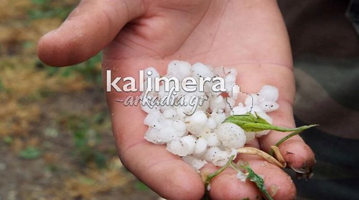 Δηλώνουν τις ζημιές από το χαλάζι οι παραγωγοί της Μεγαλόπολης