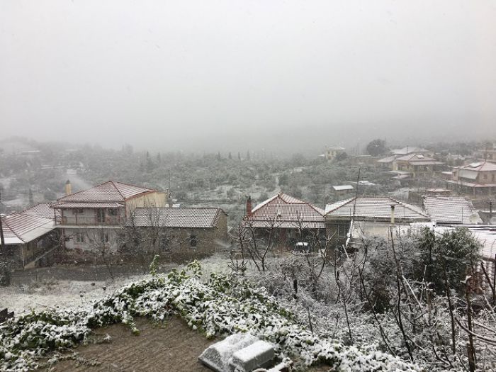 Το χιονισμένο Καλλιάνι Γορτυνίας! (εικόνες)