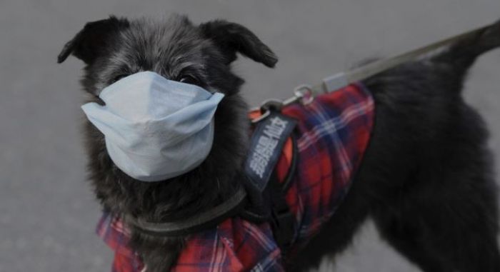 &Pi;&alpha;&nu;&epsilon;&lambda;&lambda;&alpha;&delta;&iota;&kappa;ή &Phi;&iota;&lambda;&omicron;&zeta;&omega;ϊ&kappa;ή &Omicron;&mu;&omicron;&sigma;&pi;&omicron;&nu;&delta;ί&alpha;: "&Epsilon;&pi;&iota;&tau;&rho;έ&pi;&epsilon;&tau;&alpha;&iota; &omicron; &pi;&epsilon;&rho;ί&pi;&alpha;&tau;&omicron;&sigmaf; &mu;&epsilon; &tau;&alpha; &kappa;&alpha;&tau;&omicron;&iota;&kappa;ί&delta;&iota;ά &mu;&alpha;&sigmaf; &mu;&epsilon; &tau;&alpha; &alpha;&pi;&alpha;&rho;&alpha;ί&tau;&eta;&tau;&alpha; &mu;έ&tau;&rho;&alpha; &kappa;&alpha;&theta;&alpha;&rho;&iota;ό&tau;&eta;&tau;&alpha;&sigmaf;"