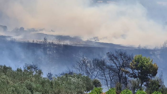 Υπό έλεγχο η φωτιά σε Σπαθοβούνι και Καλέντζι Κορινθίας (vd)