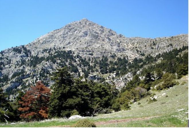 &Gamma;&iota;&alpha; &tau;&omicron; &Alpha;&rho;&tau;&epsilon;&mu;ί&sigma;&iota;&omicron; &epsilon;&tau;&omicron;&iota;&mu;ά&zeta;&epsilon;&tau;&alpha;&iota; &omicron; &Sigma;&Alpha;&Omicron;&Omicron;