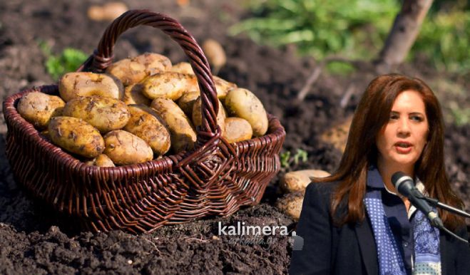 &Tau;&eta; &sigma;&tau;ή&rho;&iota;&xi;&eta; &tau;&omega;&nu; &pi;&alpha;&tau;&alpha;&tau;&omicron;&pi;&alpha;&rho;&alpha;&gamma;&omega;&gamma;ώ&nu; &tau;&eta;&sigmaf; &Pi;&epsilon;&lambda;&omicron;&pi;&omicron;&nu;&nu;ή&sigma;&omicron;&upsilon; &zeta;&eta;&tau;ά &eta; &Nu;&iota;&kappa;&omicron;&lambda;ά&kappa;&omicron;&upsilon;