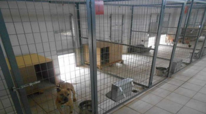 Κατάλληλο το οικόπεδο στη Νεστάνη για Καταφύγιο Αδέσποτων Ζώων