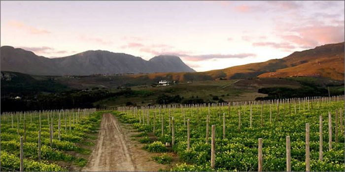 &Xi;&epsilon;&kappa;ί&nu;&eta;&sigma;&alpha;&nu; &omicron;&iota; &alpha;&iota;&tau;ή&sigma;&epsilon;&iota;&sigmaf; &gamma;&iota;&alpha; &tau;&omicron; &pi;&rho;ό&gamma;&rho;&alpha;&mu;&mu;&alpha; &alpha;&nu;&alpha;&delta;&iota;ά&rho;&theta;&rho;&omega;&sigma;&eta;&sigmaf; &kappa;&alpha;&iota; &mu;&epsilon;&tau;&alpha;&tau;&rho;&omicron;&pi;ή&sigmaf; &alpha;&mu;&pi;&epsilon;&lambda;ώ&nu;&omega;&nu;